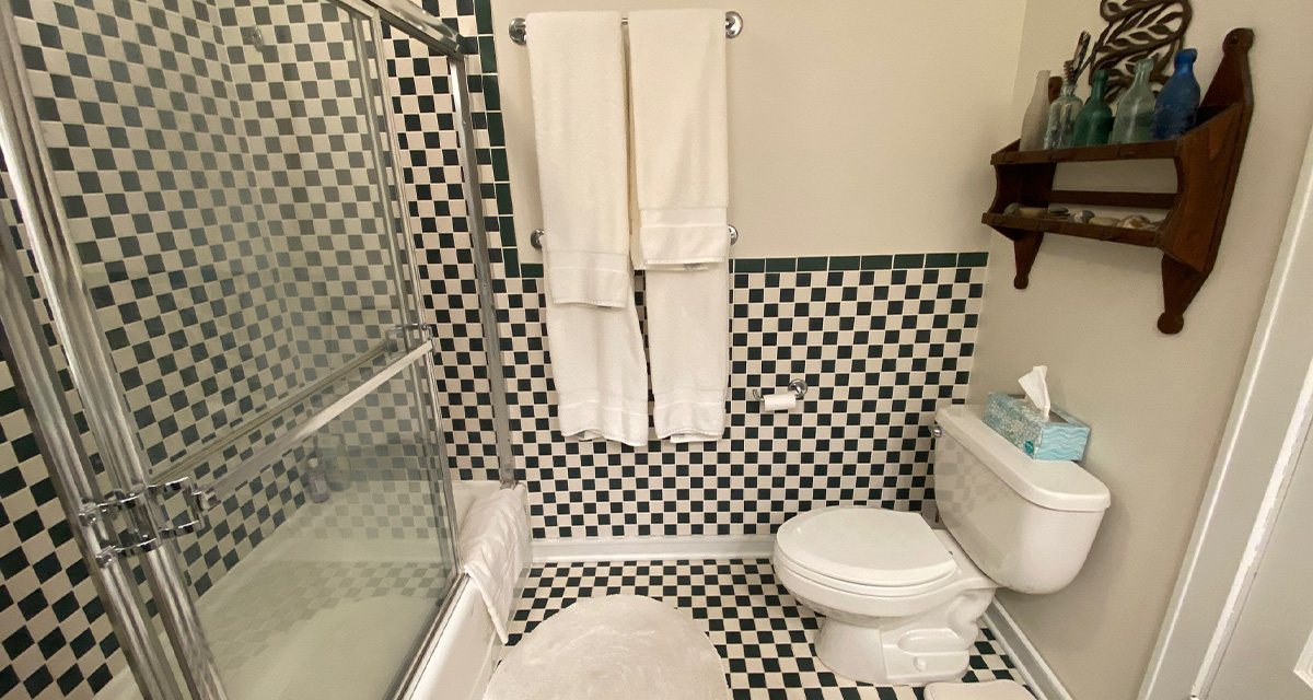 before Von Tobel remodel green and white checker tile bathroom