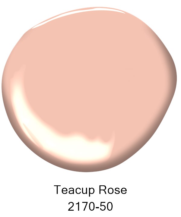 Benjamin Moore 2024 Paint Palette Teacup Rose